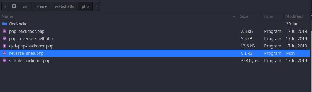 find_the_reverse-shell.php