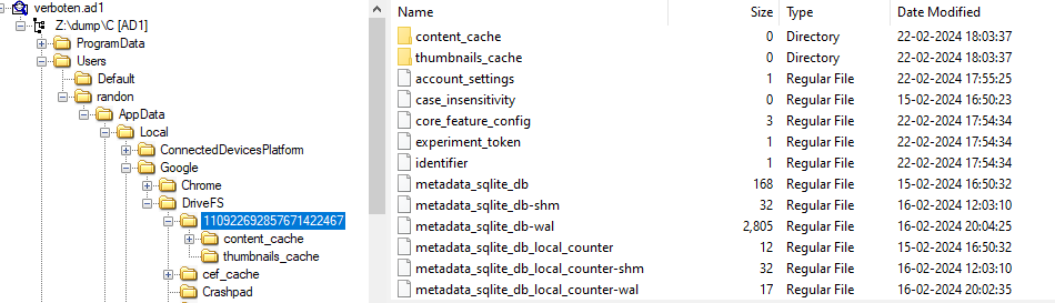 drivefs folder